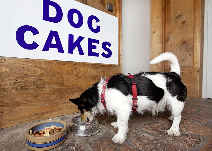 Lägenhetshotell Appartement-hotel Seespitz