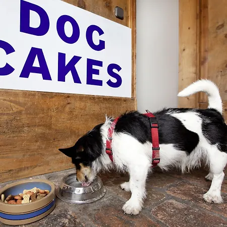 Aparthotel Appartement-hotel Seespitz