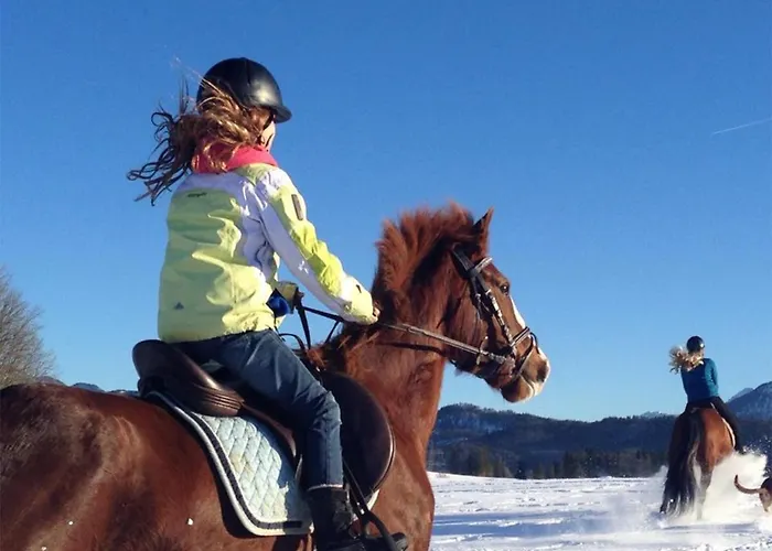 希尔匹兹公寓式酒店 公寓式酒店 福森